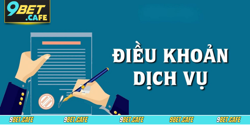 Điểm qua tầm quan trọng của điều khoản dịch vụ newbie nên xem