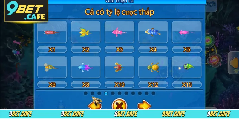 Nên dùng súng thường cho các sinh vật biển nhỏ lẻ dễ bị hạ gục