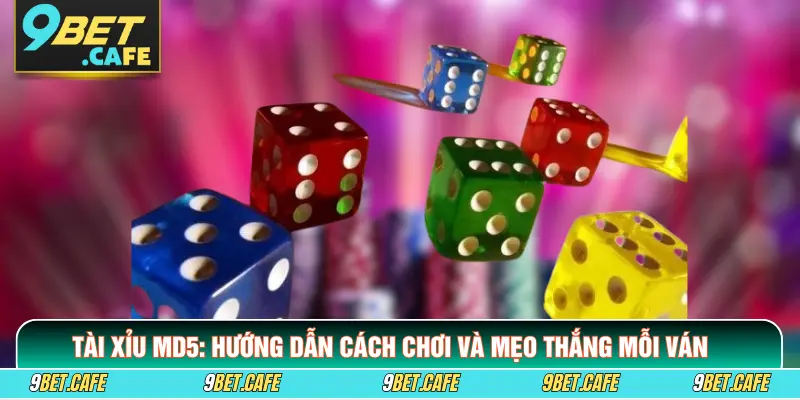 Tài Xỉu MD5: Hướng Dẫn Cách Chơi Và Mẹo Thắng Mỗi Ván
